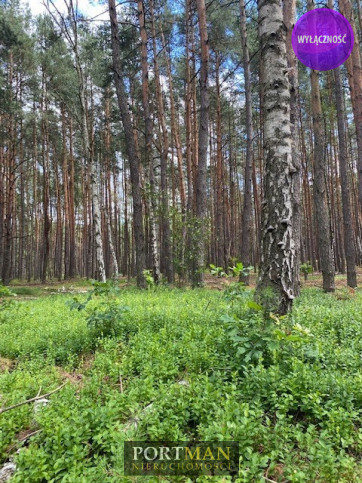 Działka Sprzedaż Malcanów 2