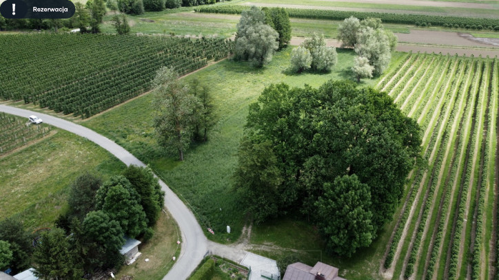Działka Sprzedaż Wilga 2