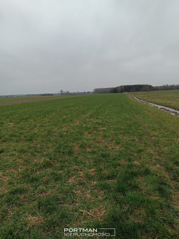 Działka Sprzedaż Lasomin 1