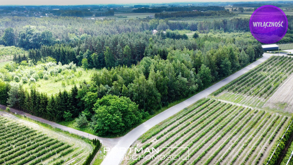 Działka Sprzedaż Świętochów