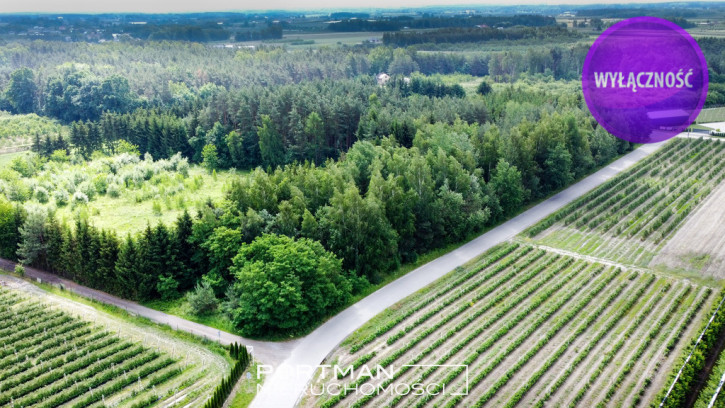 Działka Sprzedaż Świętochów 3
